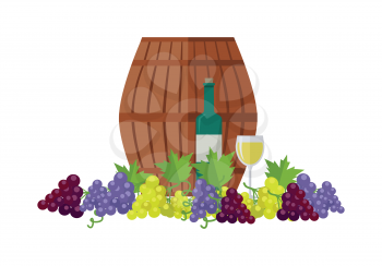 Wooden barrel with wine. Different sorts of grapes. Bottle and glass of check elite vintage strong wine. Bunches or clusters of grapes. Part of series of viniculture production items. Vector