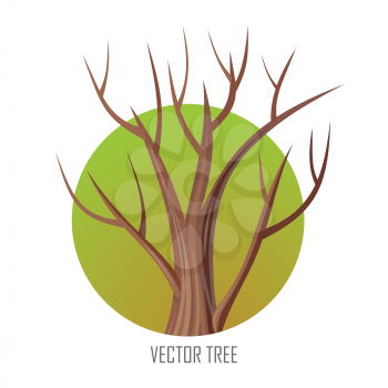 Isolated oak tree without leaves. Bare oak tree. Tree forest, leaf tree isolated, tree branch, plant eco branch tree, organic natural wood illustration. Autumn tree without leaves. Oak round icon.