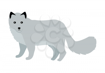 Polar fox flat style vector. Wild predatory animal. North fauna species. For nature concepts, children s books illustrating, printing materials. Fur hunting object. Isolated on white background