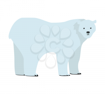 Polar bear flat style vector. Wild and dangerous predatory animal. North fauna species. For nature concepts, children s books illustrating, printing materials. Isolated on white background