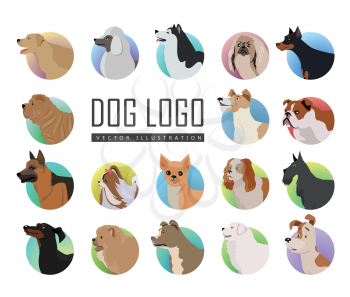Set of dog vector logos in flat design. Pekingese, poodle, huskies, doberman, terrier, bulldog, shepherd, chihuahua, maltese, spaniel dachshund pit bull sharp chow-chow schnauzer illustrations 