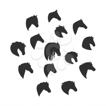 Collection os silhouettes of horse heads. Domestic animals. Vector in flat style design. For pets inforgaphics, app icons, equestrian club logo and web page design.  Isolated on white background