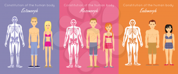 Human body constitution vector concept. Flat design. Anthropological anatomy scheme. Skeletons with muscle silhouettes and woman and man characters. Ectomorph, mesomorph, endomorph people somatotypes