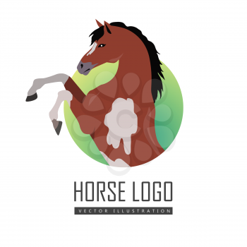 Rearing pinto horse with hind legs vector logo. Flat design. Domestic animal. Country inhabitants. For farming, animal husbandry, horse sport illustrating. Agricultural species. Isolated on white