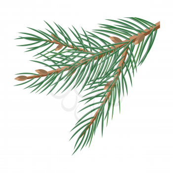 Pine tree branches with cones for christmas decorations isolated on white. Branch of Christmas tree with pine cone. Can be used for greeting card design. Winter season holidays. Vector in flat style.