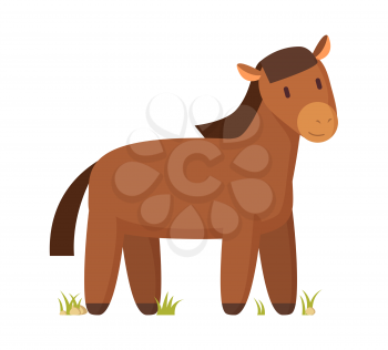 Brown horse happy cartoon character vector illustration isolated on white for book or magazine. Domestic farm animal colorful informative poster.