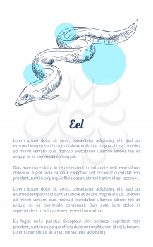 Electric eel marine creature as seafood flat vector illustration in sketch style. Nautical information poster on white and blue spots with text.