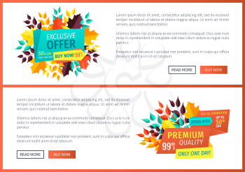 Special offer exclusive sale posters set. Premium discount natural product promotion. Hot price autumn proposition buy now banners with leaves vector
