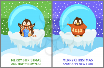 Penguin animal in sweater with pattern holding cup. Bird in scarf with gift box, ice-bowl with icicles vector. Merry Christmas and Happy New Year greeting