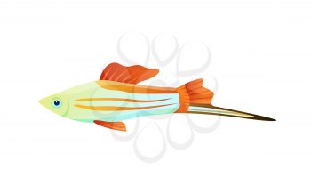 Colorful swordtail fish color vector illustration, underwater dweller with long appendix, set of flexible flippers and camouflage stripes on body