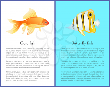 Butterfly and Gold fish cartoon flat vector illustration poster with text sample. Exotic sea intabitants butterfly and goldfish, rare aquatic species.