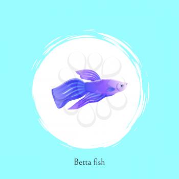 Aquarium Betta fish poster with cutline. Marine creature color cartoon flat vector illustration in centre of white bubble spot on blue background.