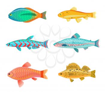 Jewel cichlid and Jack Dempsey blue fish with spots. Tropical limbless animals. marine dwellers living by seasides, isolated on vector illustration