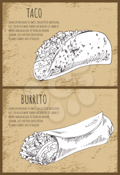 Stuffed taco and spicy burrito lavash with meat or vegetable filling. Sketch illustration on vintage background with text sample for snack bar vector