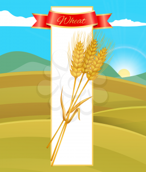 Wheat cereal poster and nature field with mountains and sunny sky . Ground soil for agricultural farm crop growth. Ribbon with text and block vector