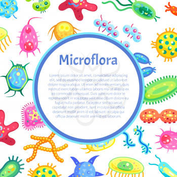 Microflora poster with text sample in circular block and bacteria. Intestine microorganisms digestive molecules and germs. Organisms in bowel vector
