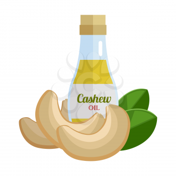 Cashew oil and nuts vector. Flat design. Healthy food, diet and cosmetic products. Seasoning. Culinary ingredient, source of protein, vitamins, fatty acids. Isolated on white background.