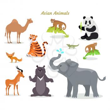 Asian animals fauna species. Cute asian animals flat vector. Northern predators. Nature concept for children s book. Camel, panda, tiger, chameleon, monkey, deer, grizzly bear elephant