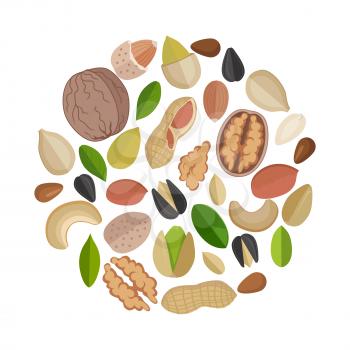 Various nuts composed in circle shape. Nuts collection. Mixed nuts and seeds. Pumkin seeds, almond, walnut, sunflower seed, flax seed, peanut, cashew. Isolated vector illustration on white background.