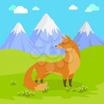 Red fox vulpes standing on the meadow in the mountains. Cute wild animal with flattened skull, upright triangular ears, pointed snout, and long bushy tail. Cartoon banner. Vector design illustration