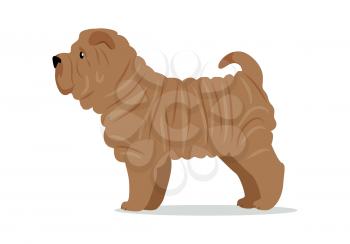 Brown shar pei in stand on white background. Dog icon or logo element. Vector illustration in flat style. Side view shar pei design. Cartoon dog character, pet animal.