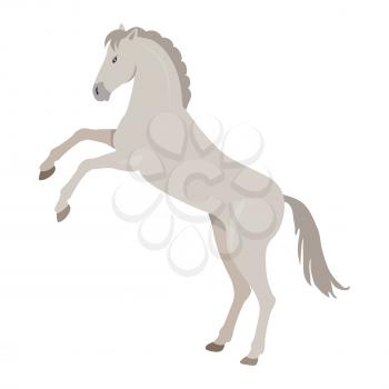 Rearing gray horse with hind legs vector. Flat design. Domestic animal. Country inhabitants concept. For farming, animal husbandry, horse sport illustrating. Agricultural species. Isolated on white