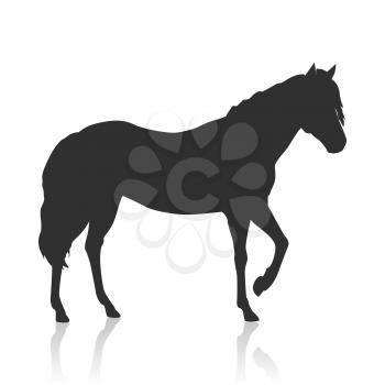 Sorrel horse black logo vector. Flat design. Domestic animal. Country inhabitants concept. For farming, animal husbandry, horse sport illustrating. Agricultural species. Isolated on white