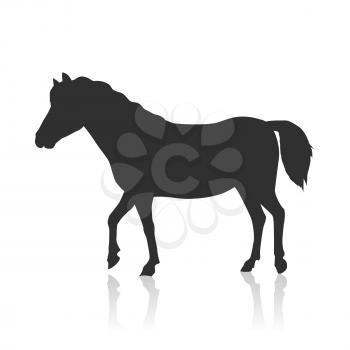 Black horse vector. Flat design. Domestic animal. Country inhabitants. For farming, animal husbandry, horse sport illustrating. Agricultural species. Isolated on white