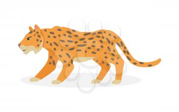 Jaguar, wild cat Panther isolated on white. Cat family member. Spotted cat resemble to leopard. Big wild cat. Pantherinae jaguar. Compact and well-muscled animal. Flat style. Vector illustration