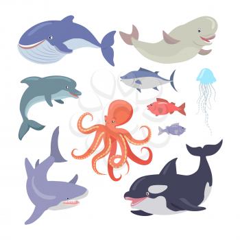 Sea life creatures vector set. Whale, shark, octopus, seals, jellyfish, hake, salmon, dolphin. Sea cartoon inhabitants in flat style design. Sea life animals on white background. Vector illustration