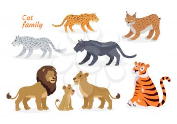 Cat family. Felidae family of cats. Felids. Pantherinae comprising tiger, lion, jaguar, leopard, snow leopard, ounce and clouded leopards. Lion family. Big wild cats. Flat style Vector illustration