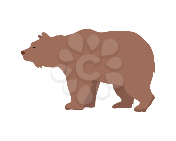 Brown bear flat style vector. Wild and dangerous omnivorous animal. Northern fauna species. For nature concepts, children s books illustrating, printing materials. Isolated on white background