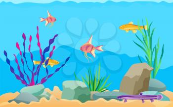 Fish swimming among stones and seaweed in aquarium. Underwater elements, sand and moss, catfish, scalar and zebrafish cartoon vector illustration
