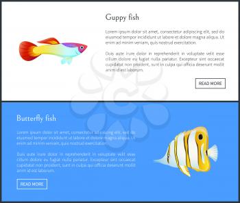 Butterfly and Guppy fish with text sample vector illustration landing page. Exotic marine creatures, aquatic species on web with push button read more