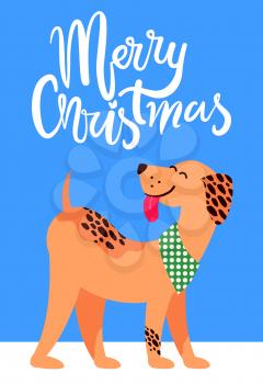 Merry Christmas banner with animal symbol of 2018 year. Weimaraner in neckerchief shows his tongue vector illustration on winter holiday poster.