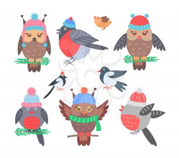 Collection of birds icons, images of bullfinch wearing knitted hat, pigeon and owl sitting on branch of pine vector illustration isolated on white