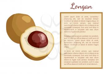 Longan exotic juicy fruit whole and cut. Litchi vector poster with frame and place for text. Tropical orgenic food, dieting vegetarian grocery banner