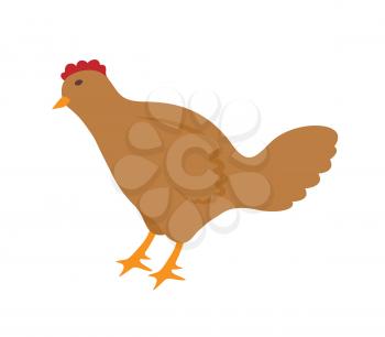 Hen domestic poultry with feathers and sharp claws. Isolated icon vector of animal giving eggs. Chicken fowl living on farm, cockerels birds breeding