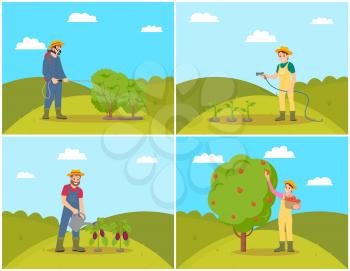 Farmer woman harvesting set vector. Woman and watering plants, vegetables and aubergines. Picking apples fruit from tree, farming people working hard