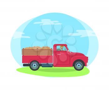Car with trailer transportation of farming agricultural production. Isolated vector with man sitting in lorry transporting cargo and load on road