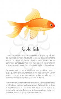 Red goldfish isolated on white. Freshwater aquarium fish silhouette hand drawn graphic icon on blank background in cartoon style vector illustration