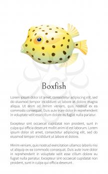 Boxfish animal poster with text sample. Fish of rounded shape with fins and dotted pattern on skin floating isolated on vector illustration, marine creature