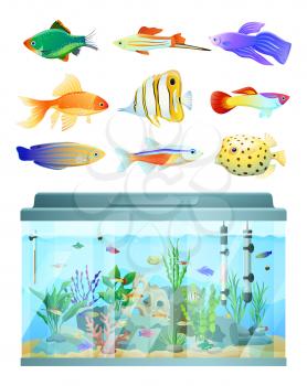 Huge aquarium and various fishes set colorful card isolated on white background vector illustration of underwater dwellers and their big glass home