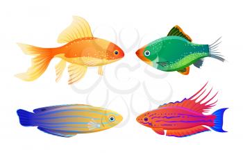 Green tiger barb and goldfish, filamented flasher and blue striped tamarin wrasse. Rare varicolored sea creature cartoon illustration on white tint.