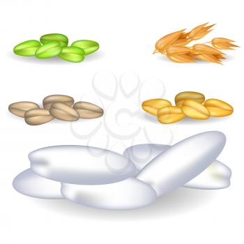 Grain assortment with pile of big rice and heaps of small green millet, brown oat, golden wheat and rye closeup vector illustration