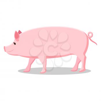 Pink pig with curly tail isolated cartoon vector illustration on white background. Farm domestic animal that produces meat and fat.