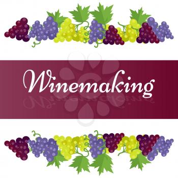Winemaking template colorful poster with dark and light grape bunches above and below inscription on broad ribbon vector illustration