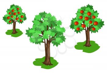 Set of apple trees with green leaves and red fruits growing on plot of land vector illustration isolated on white in flat style cartoon design