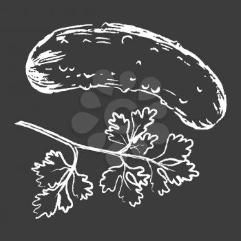 Cucumber and parsley white outline silhouettes on black background vector illustration. Vegetables drawn with chalk on blackboard.