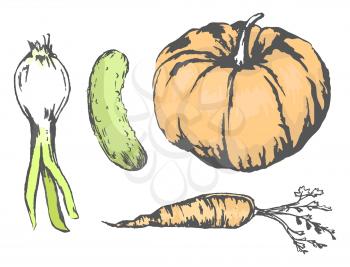 Sweet pumpkin, juicy cucumber, crispy carrot and spicy leek isolated vector illustrations set on white background. Tasty autumn harvest sketches.